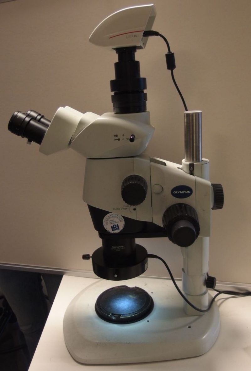 Stereo light optical microscopy (SLOM) CSI Nordic